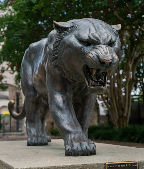 LSU tigers party bus