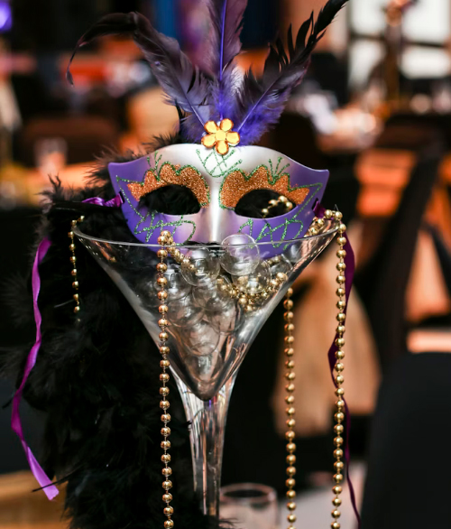 party bus to mardi gras from baton rouge